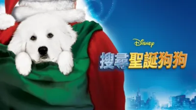搜尋聖誕狗狗