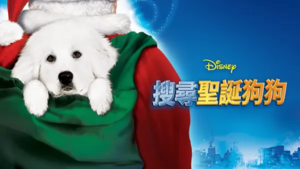thumbnail - 搜尋聖誕狗狗