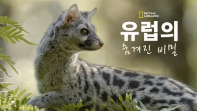 thumbnail - 유럽의 숨겨진 비밀