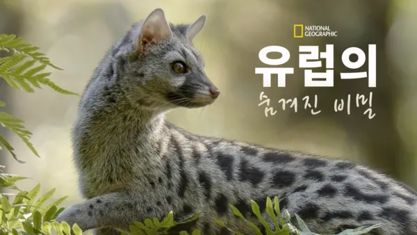 thumbnail - 유럽의 숨겨진 비밀