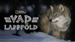thumbnail - Vad Lappföld