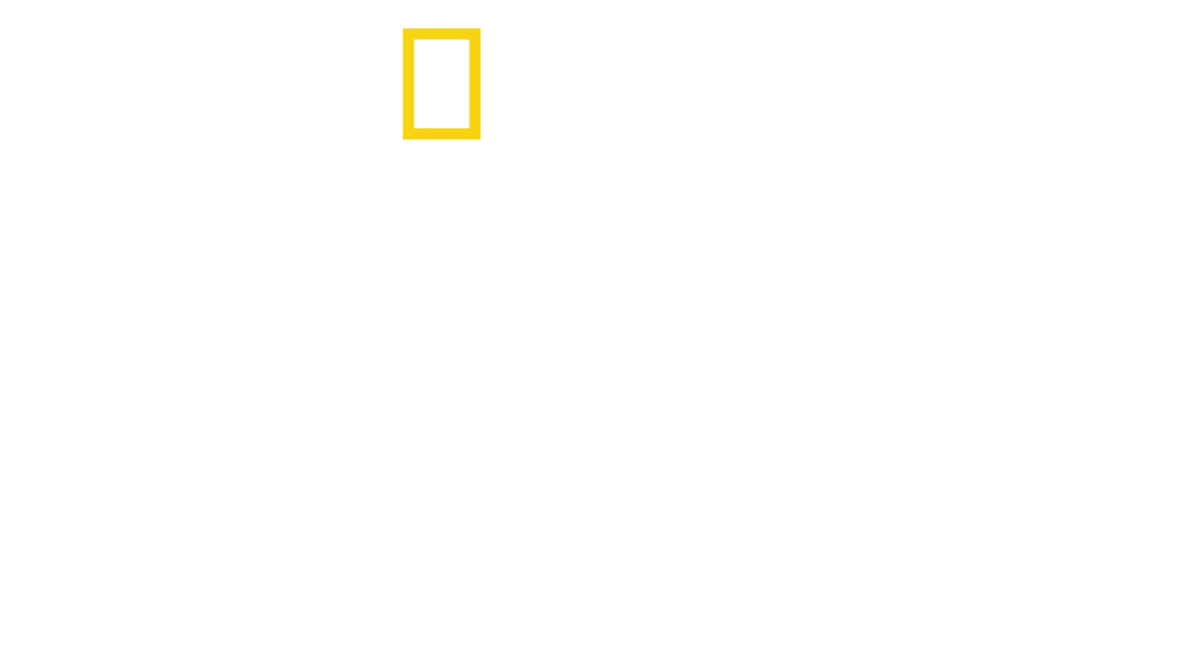 오리진스: 인류의 기원