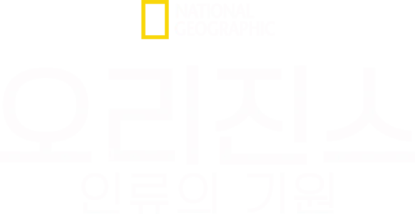 오리진스: 인류의 기원