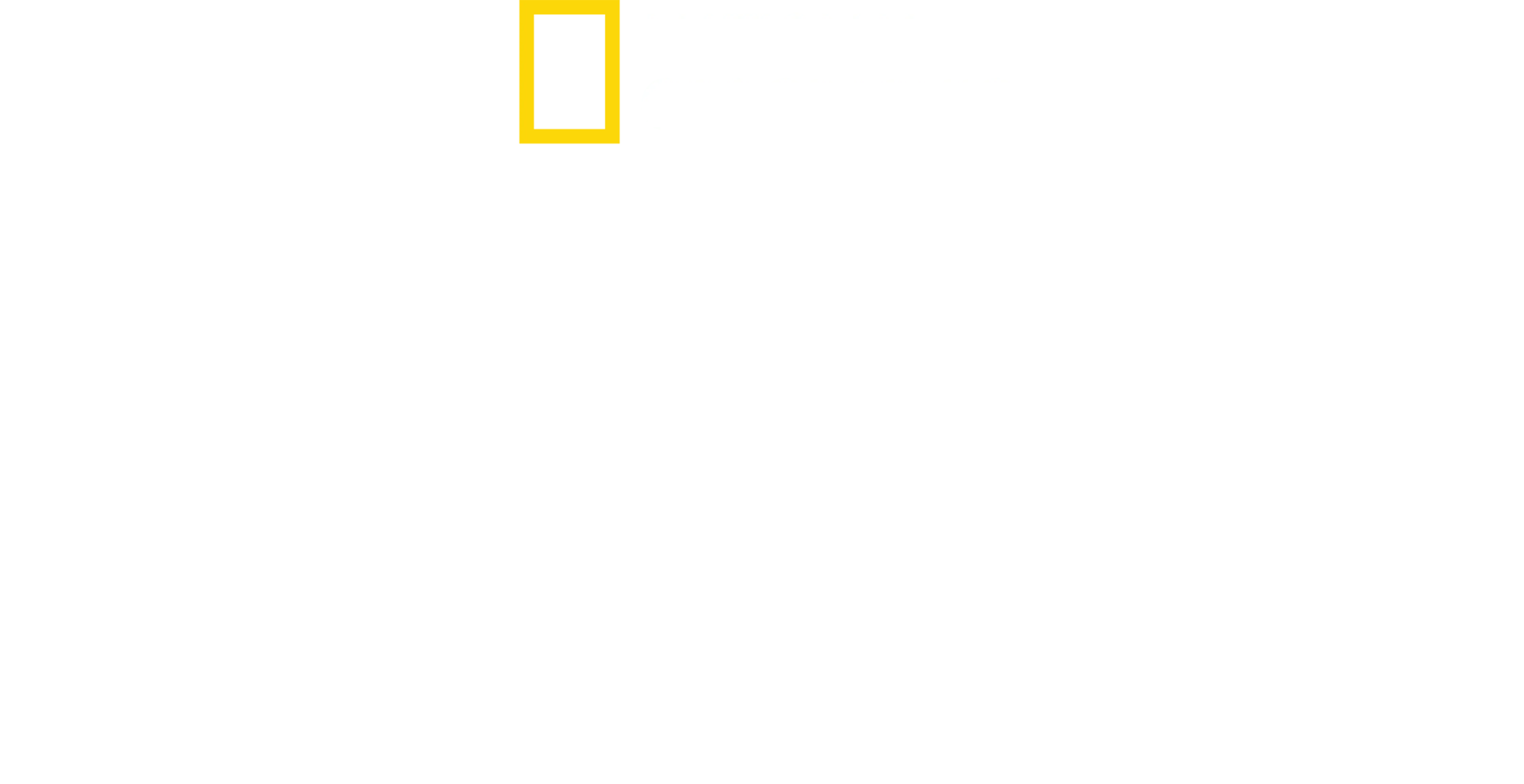 오리진스: 인류의 기원