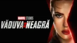 thumbnail - Văduva Neagră