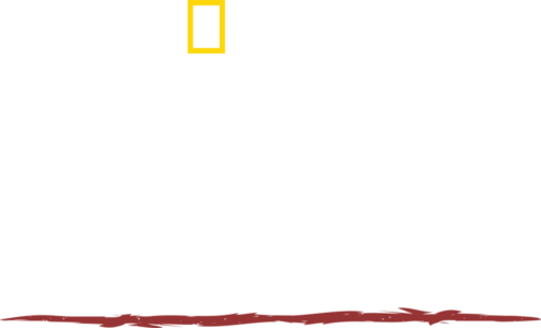生き抜け！原始生活