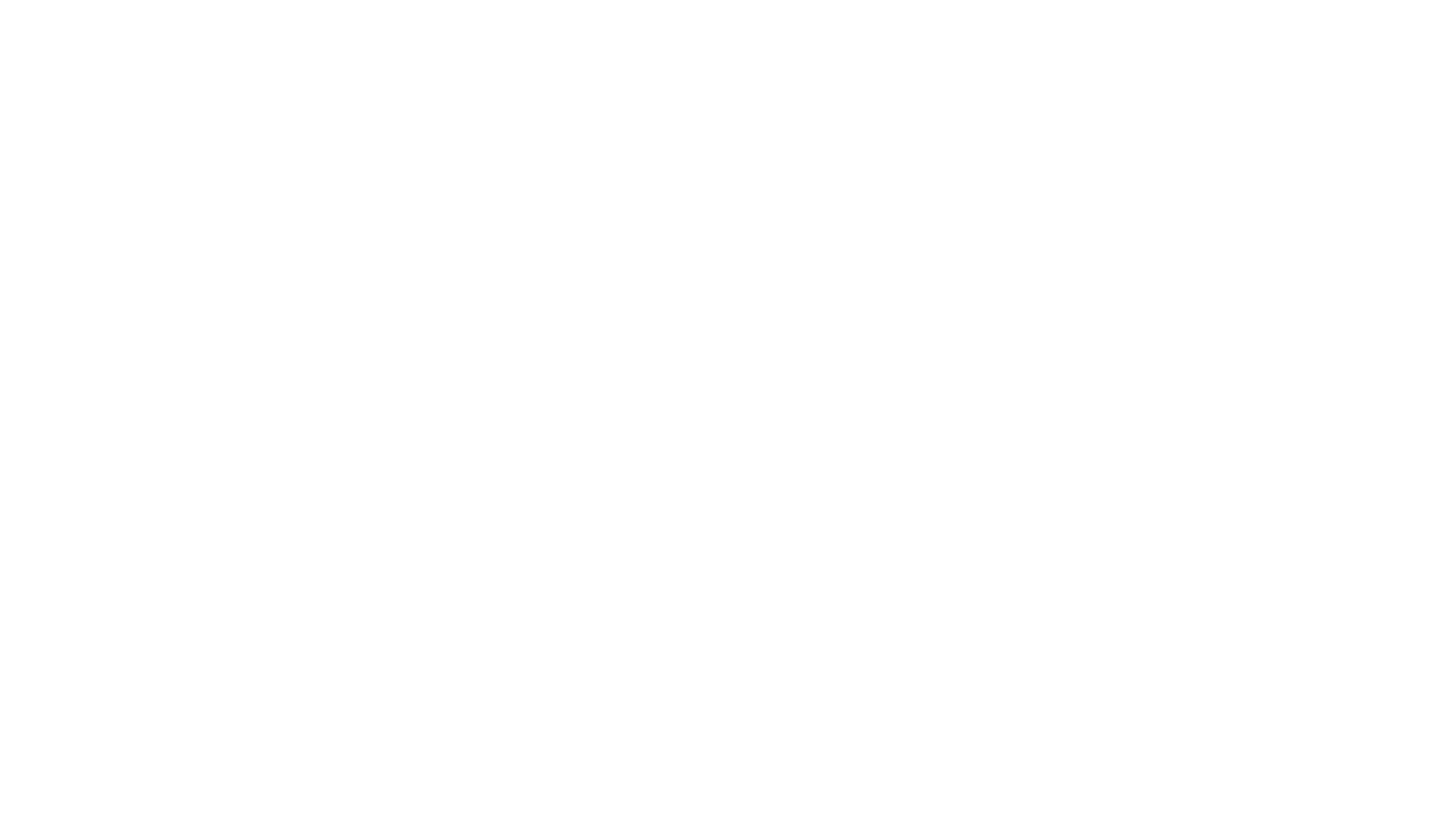 Vfl Wolfsburg vs. Borussia Dortmund