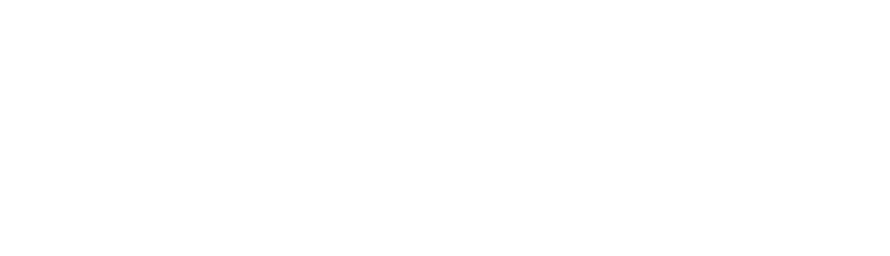 Vfl Wolfsburg vs. Borussia Dortmund