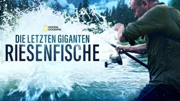 thumbnail - Die letzten Giganten: Riesenfische 