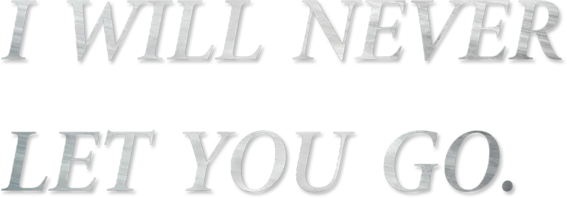 I Will Never Let You Go