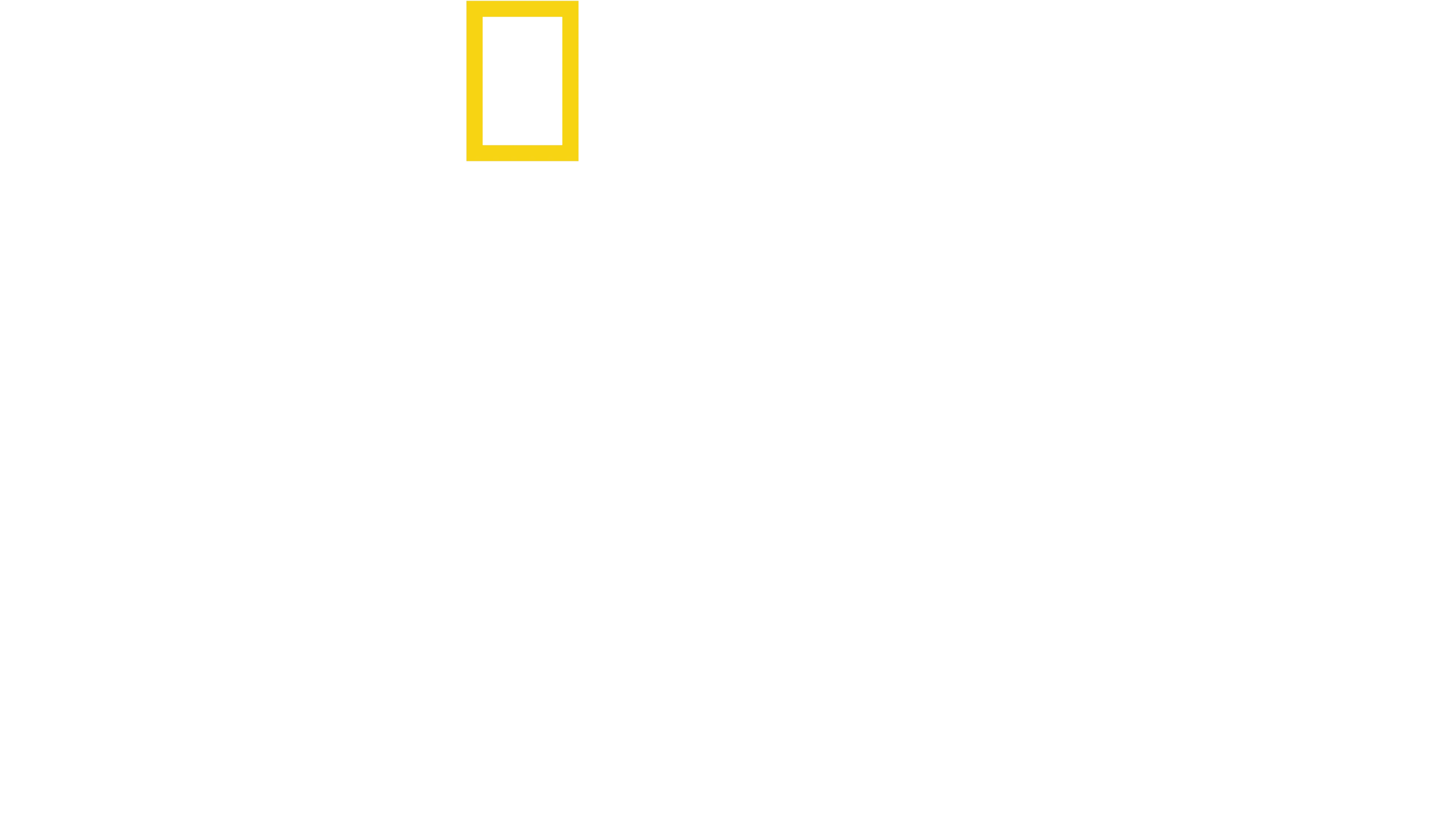 I Segreti del Polpo