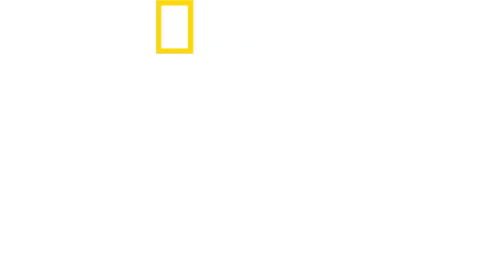 I Segreti del Polpo