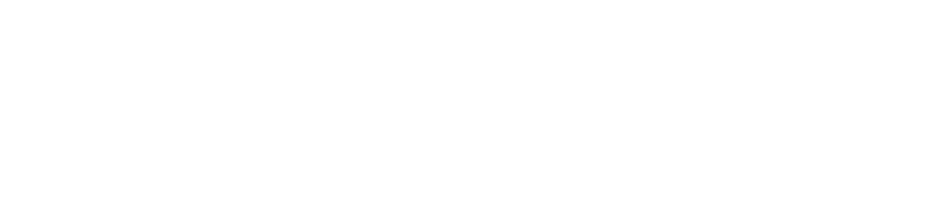 Les grandes espérances