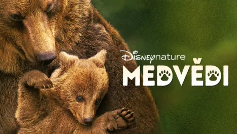 thumbnail - Medvědi