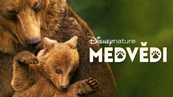 thumbnail - Medvědi