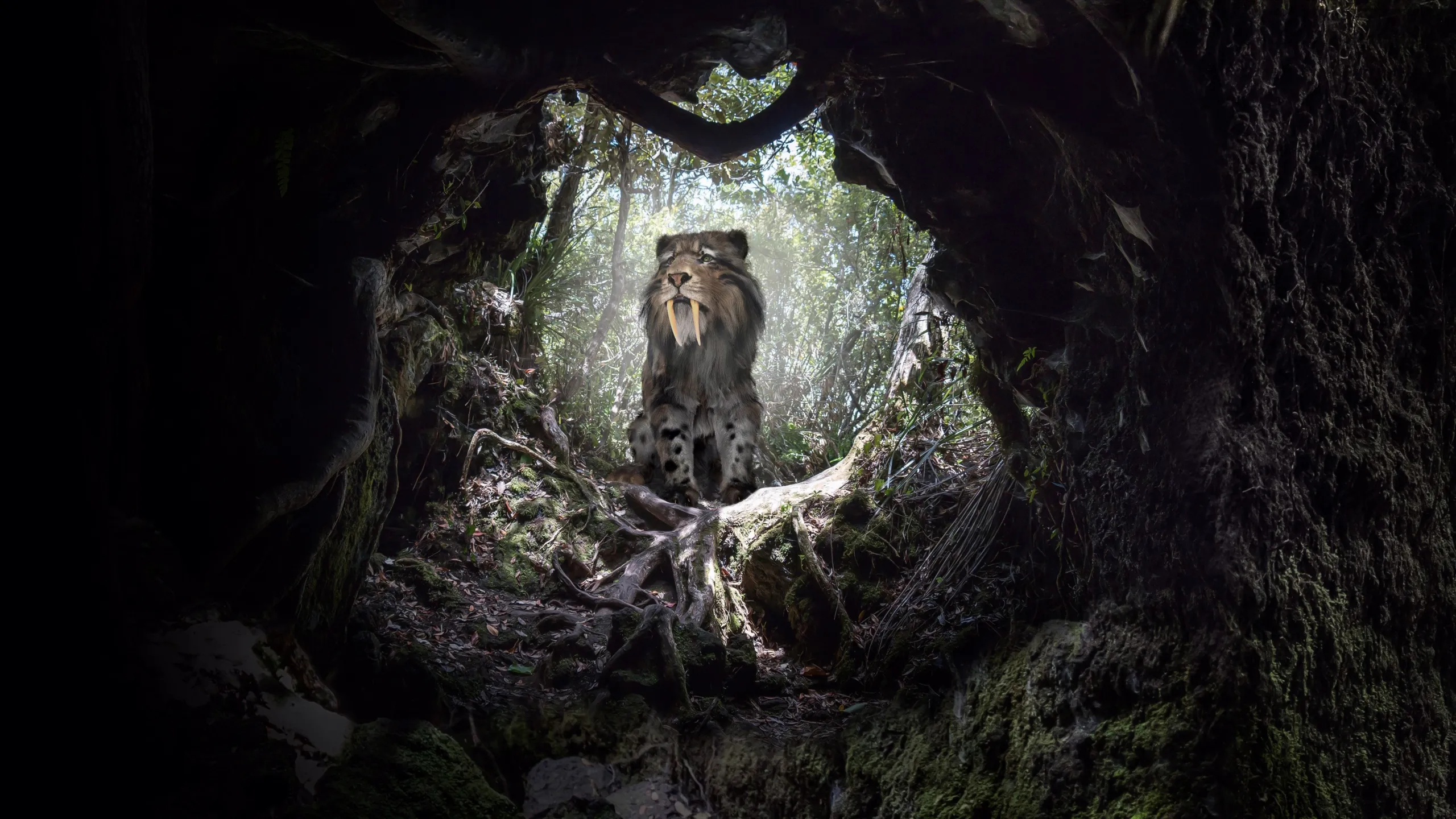 MonsterQuest: Feline Beasts