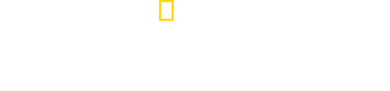 Los depredadores más letales de África