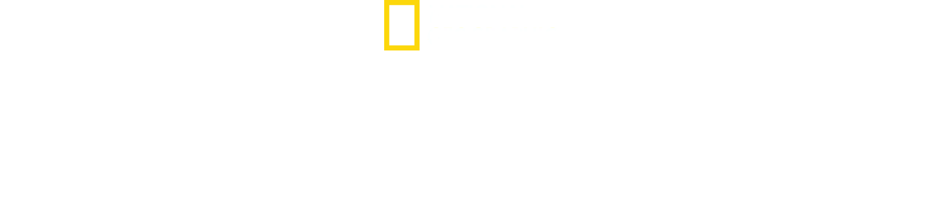 Los depredadores más letales de África