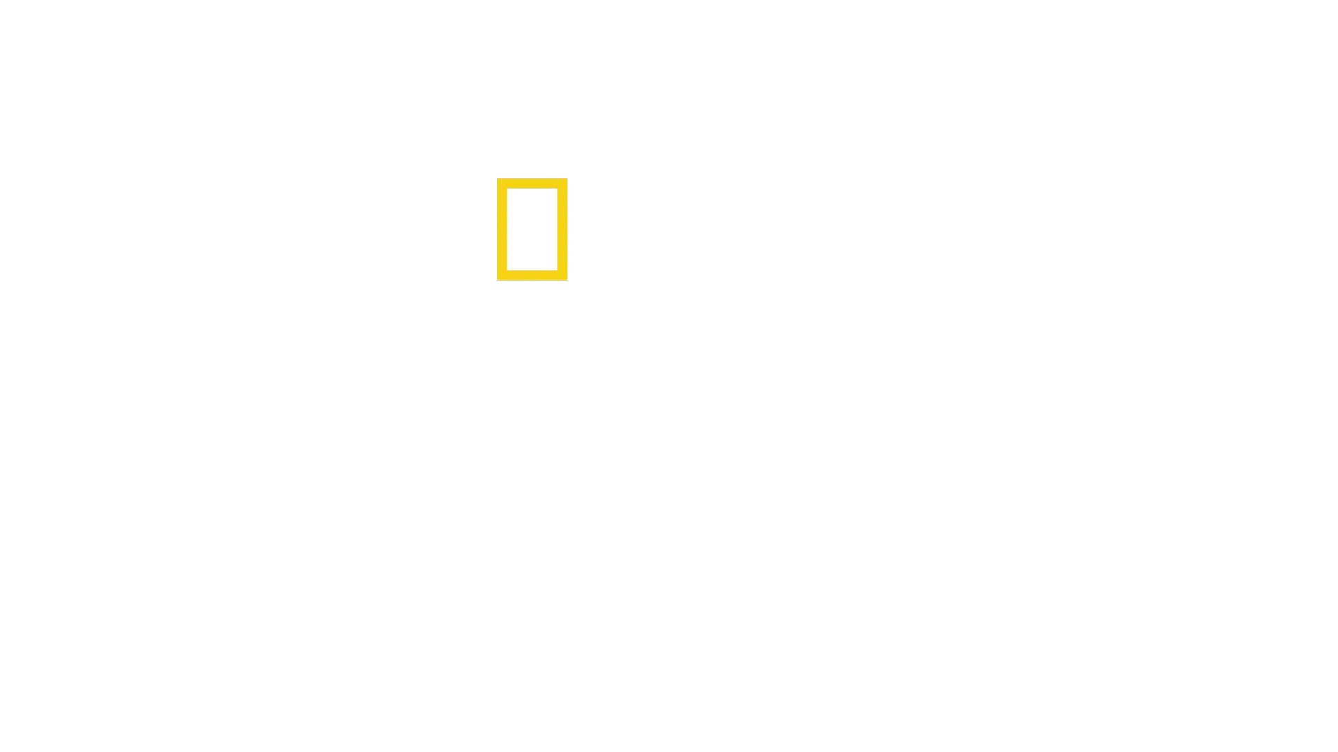 Jaws @ 50: The Definitive Inside Story