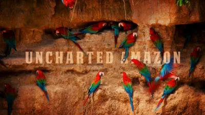Uncharted Amazon