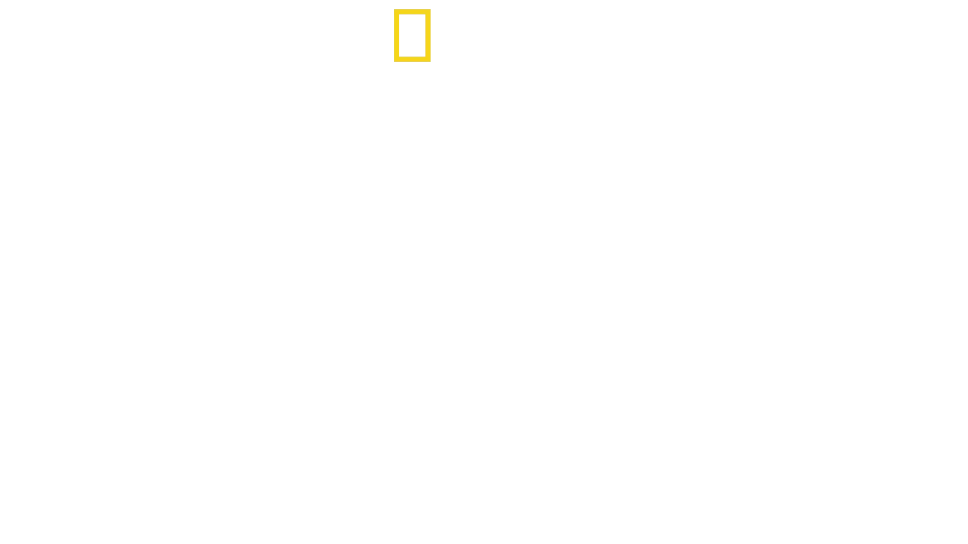 Gli eroi del Disney Animal Kingdom