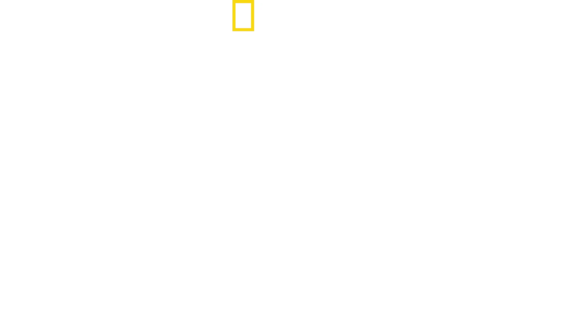 Gli eroi del Disney Animal Kingdom