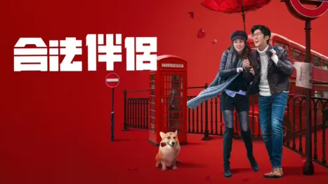 thumbnail - 合法伴侶