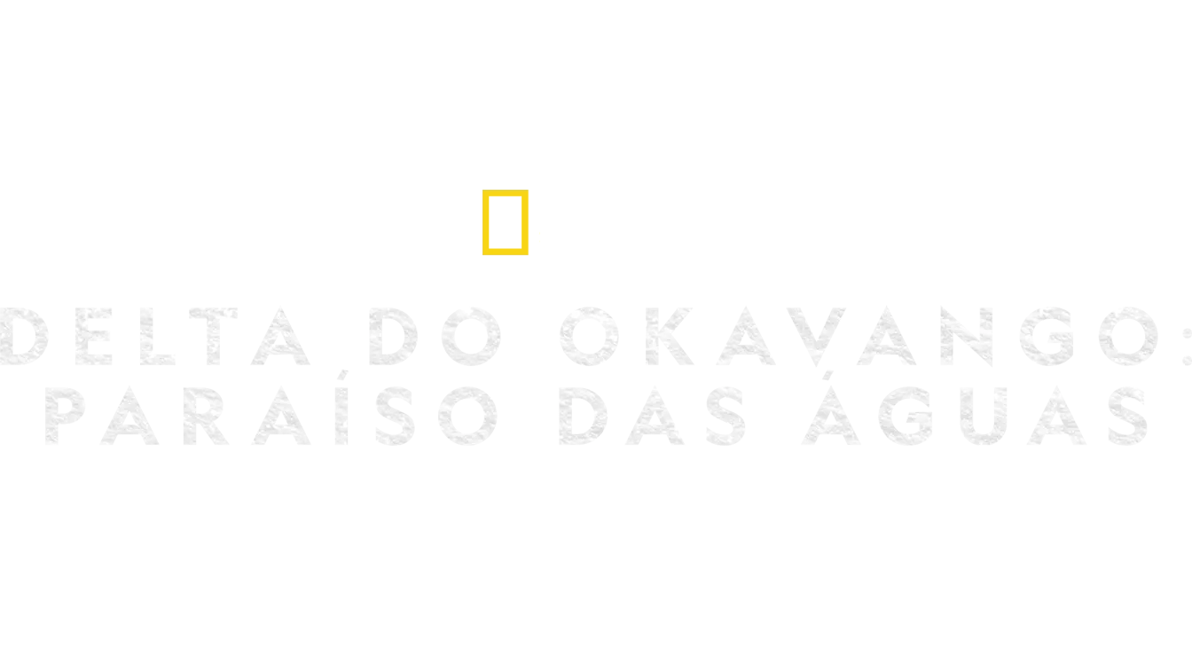 Delta do Okavango: Paraíso das Águas