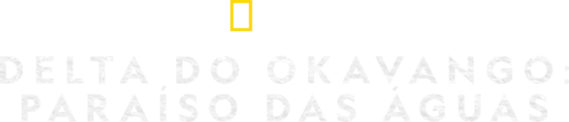 Delta do Okavango: Paraíso das Águas