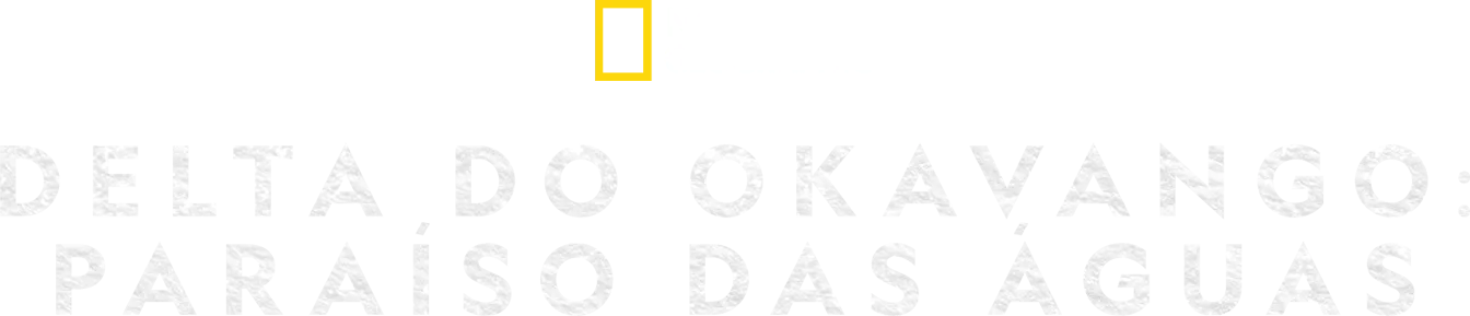 Delta do Okavango: Paraíso das Águas