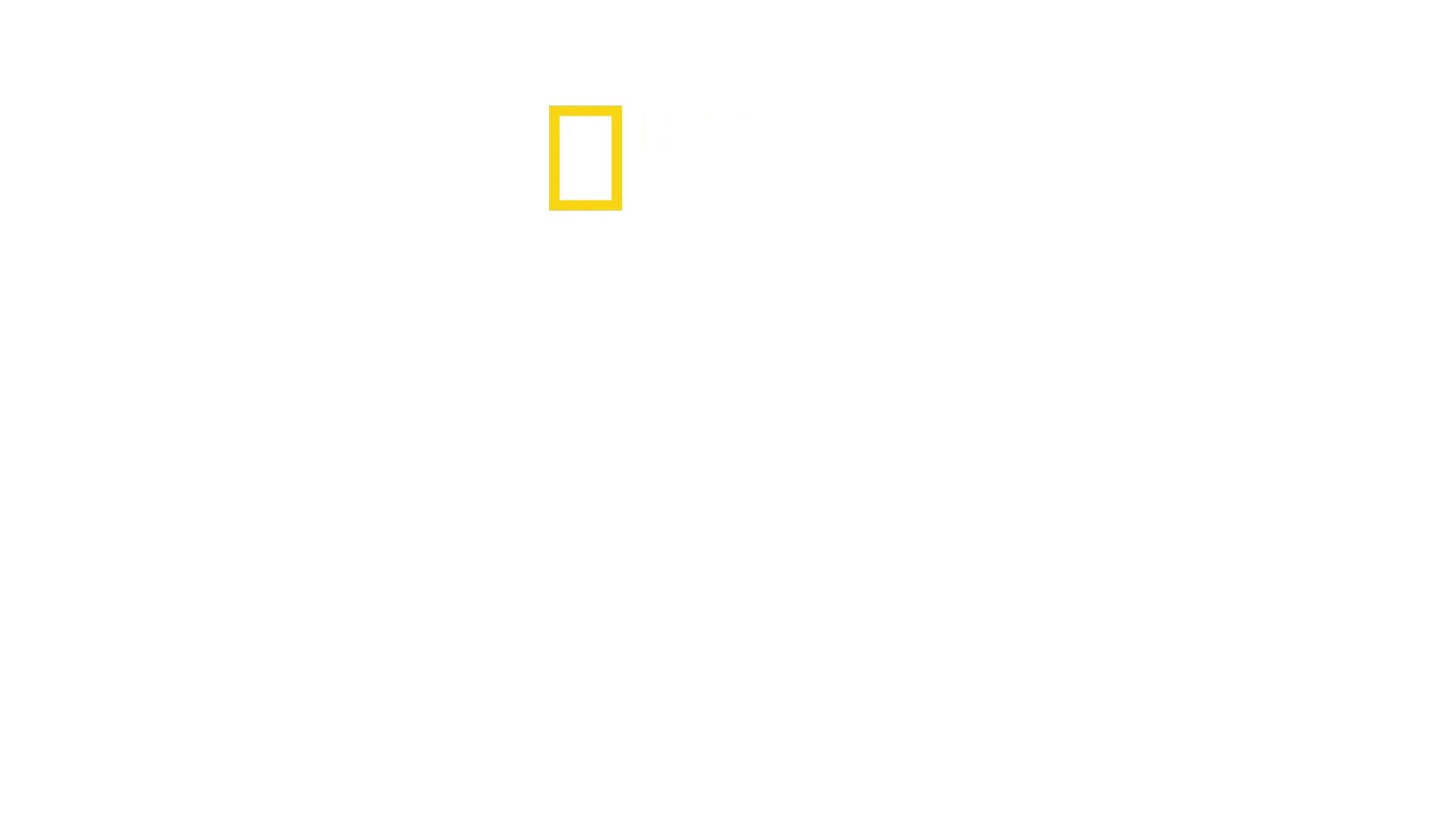 Les racines du goût avec Antoni Porowski