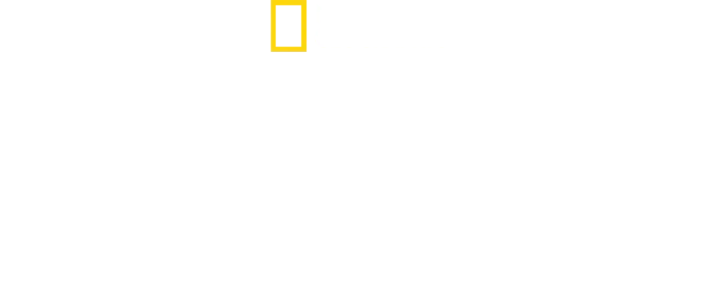 Les racines du goût avec Antoni Porowski