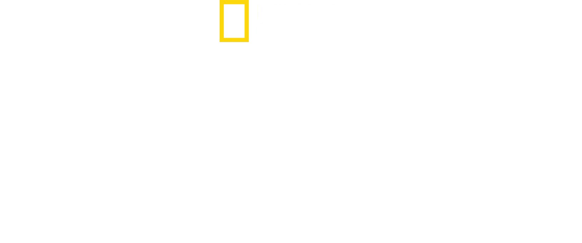 Les racines du goût avec Antoni Porowski