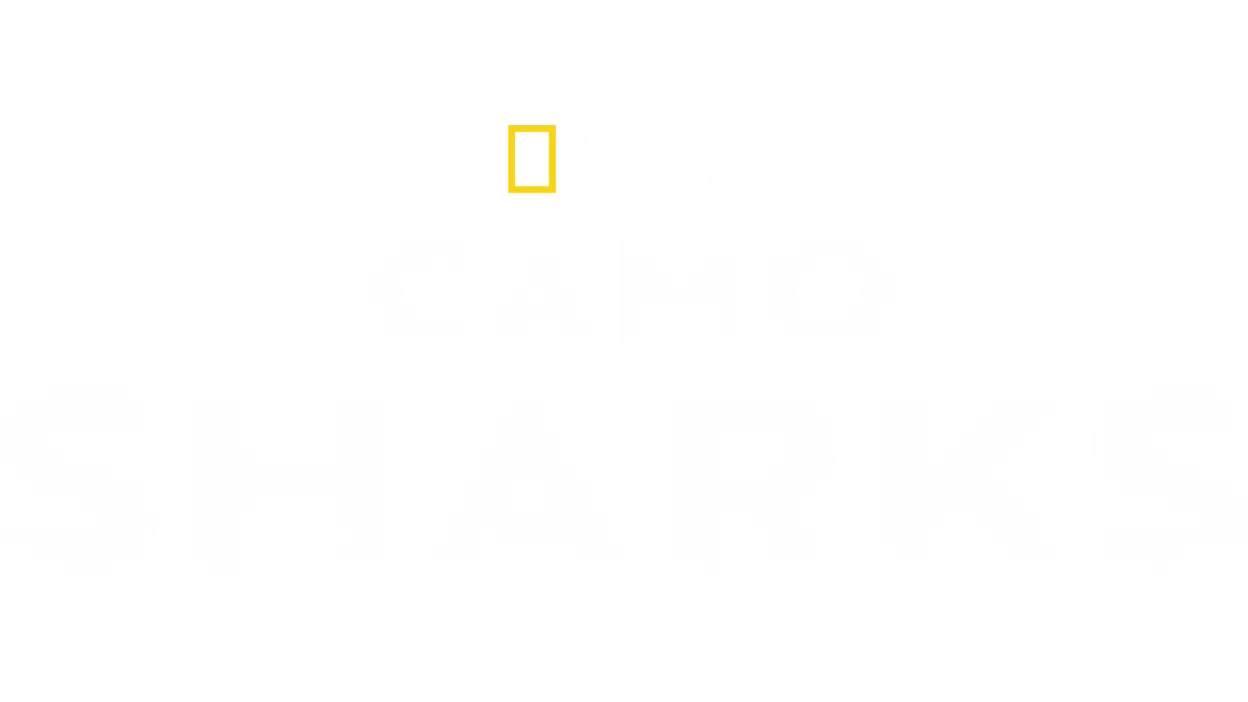 Camo Sharks