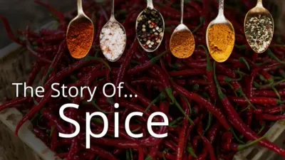 Story of... Spice