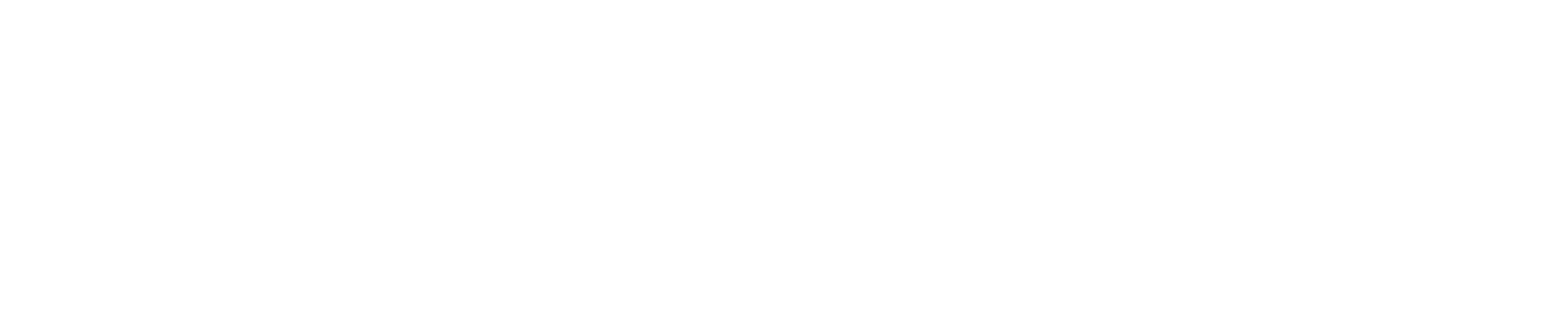 傳說的拳頭