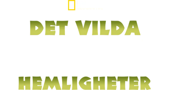 Det vilda Indiens hemligheter