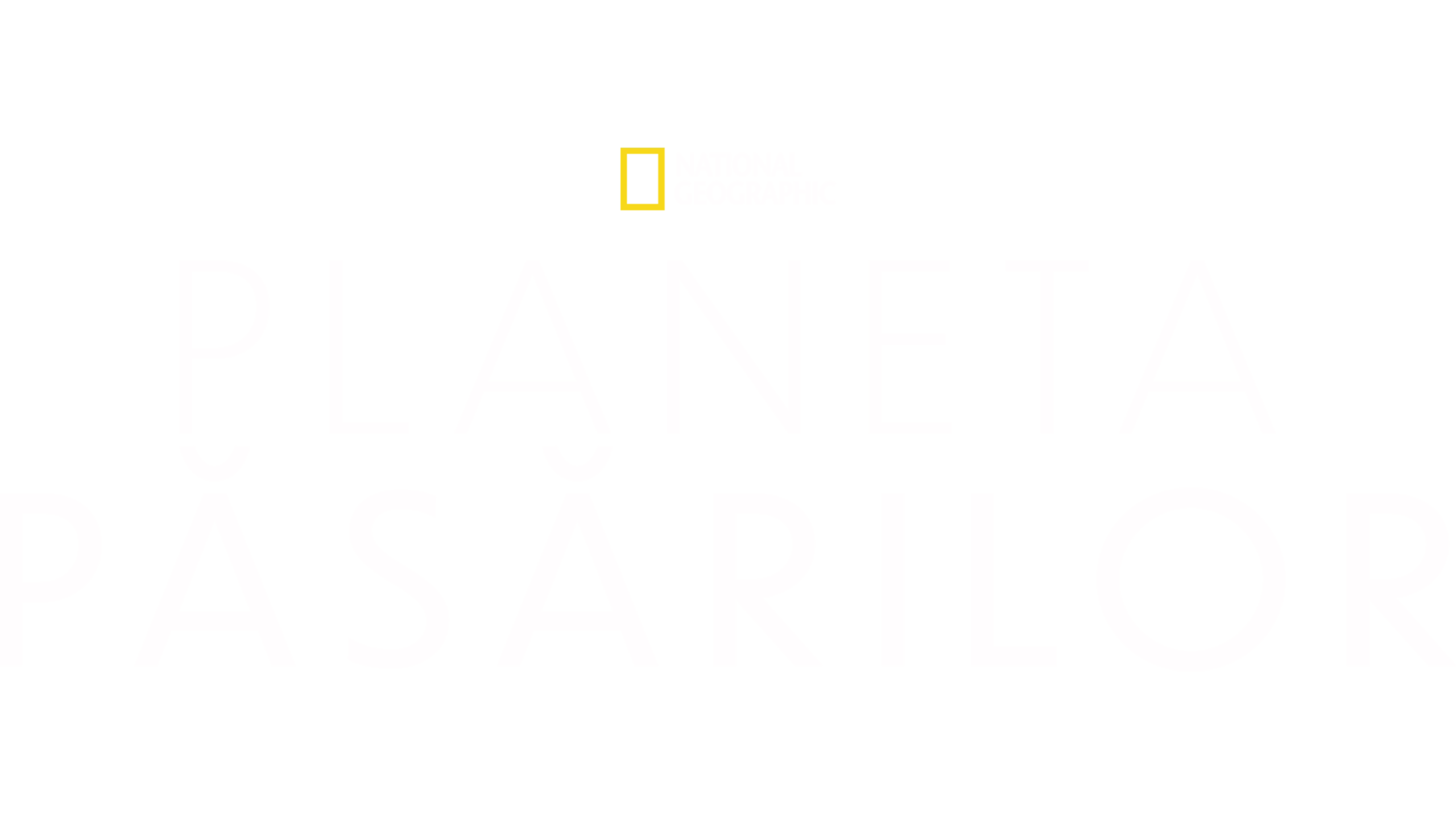 Planeta păsărilor