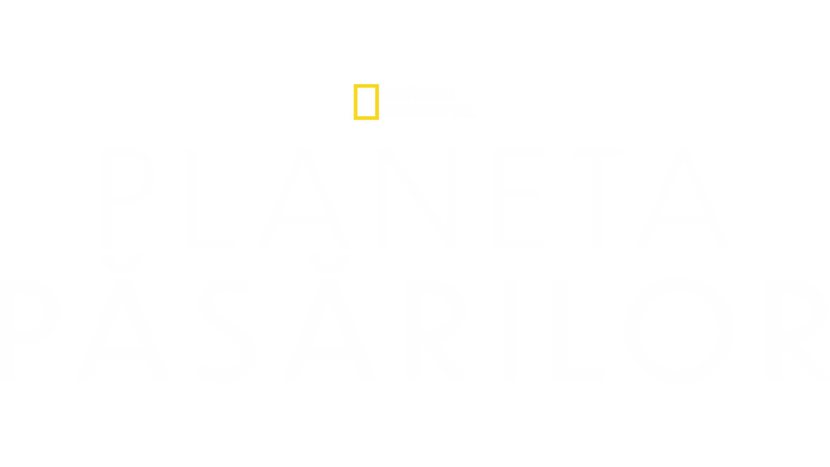 Planeta păsărilor