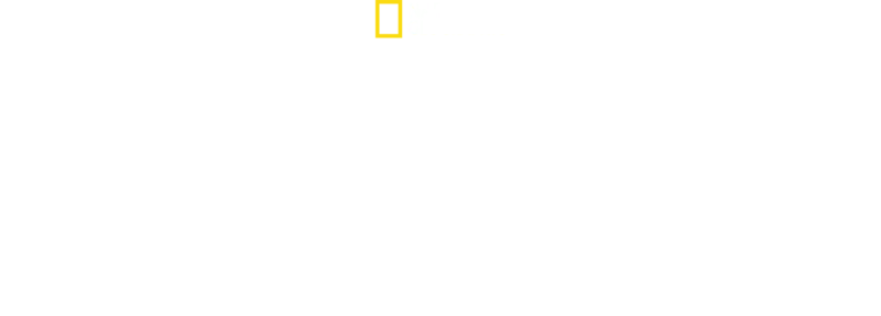 Planeta păsărilor