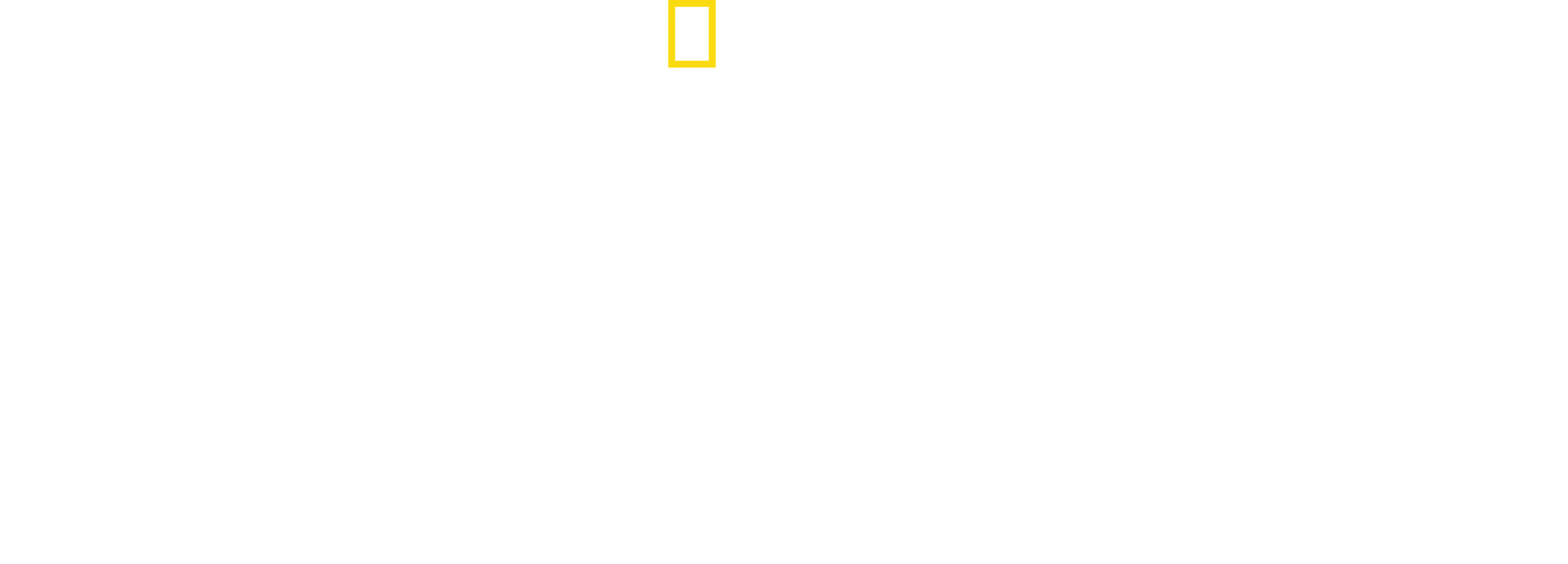 Planeta păsărilor