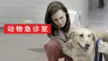 thumbnail - 动物急诊室