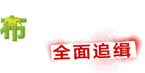 布偶历险记：全面追缉