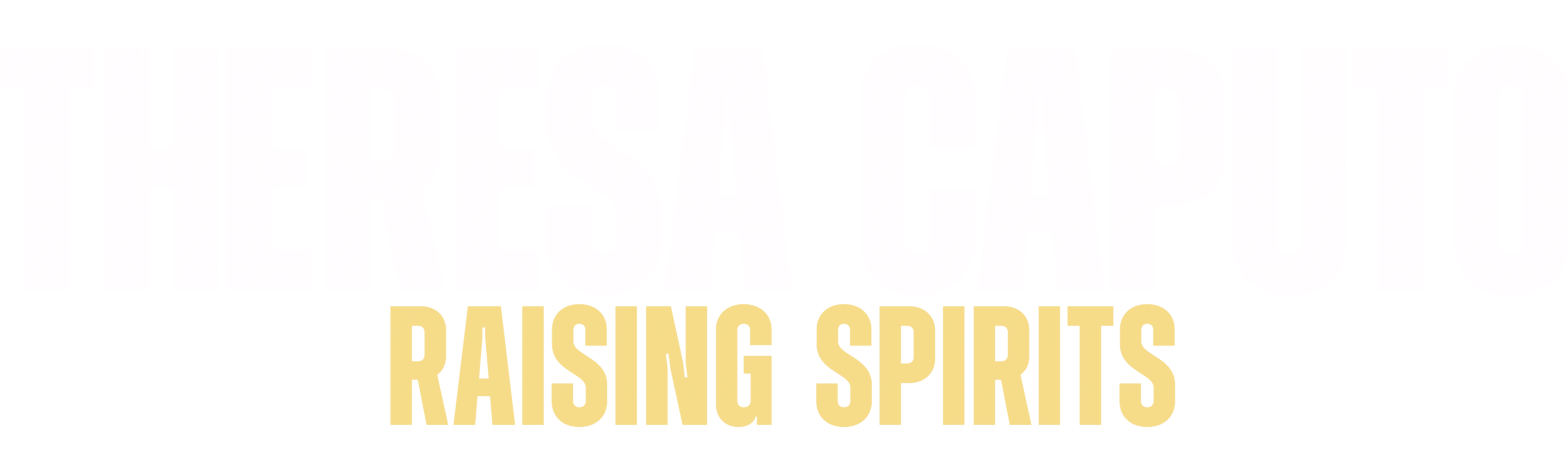 Theresa Caputo: Raising Spirits
