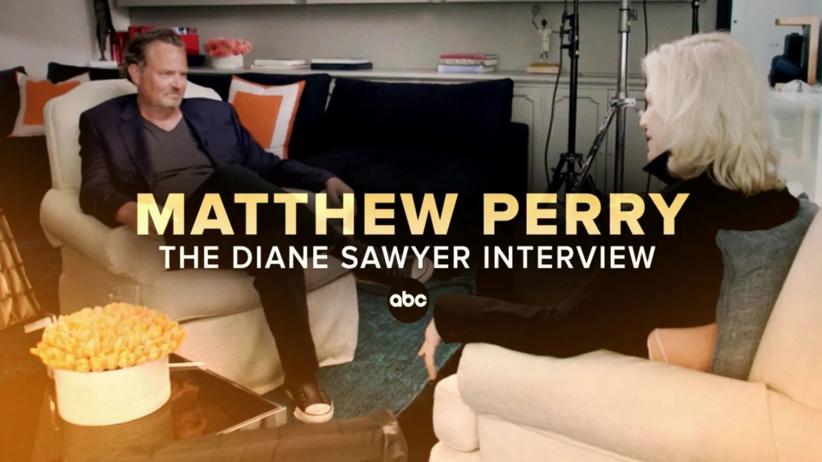 thumbnail - Matthew Perry - The Diane Sawyer Interview