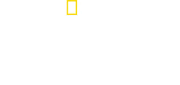 奇蹟迫降：全美航空1549號班機