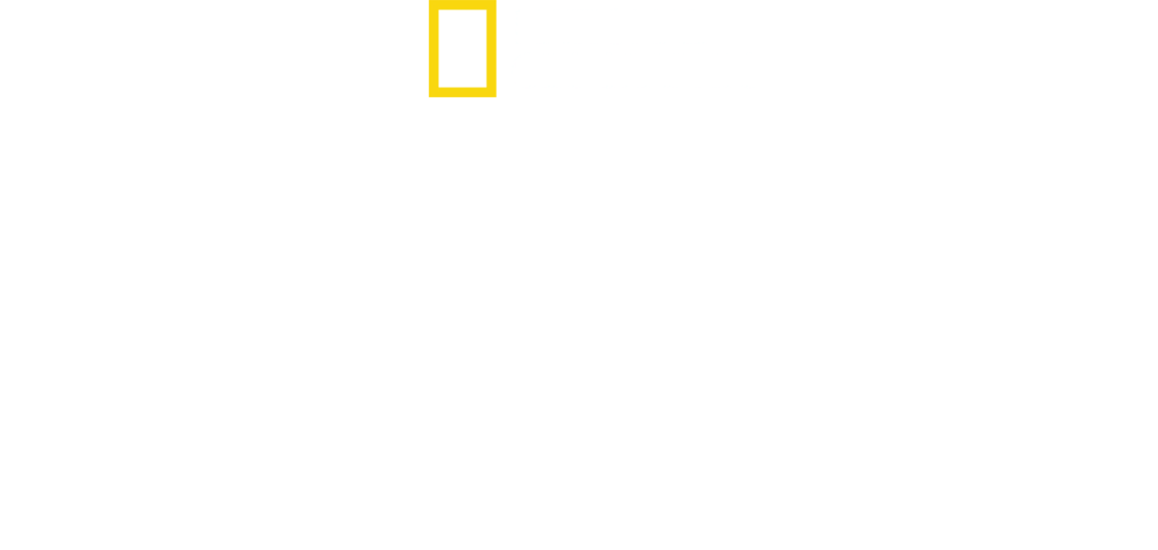 奇蹟迫降：全美航空1549號班機