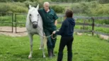 thumbnail - The Incredible Dr. Pol S7:E4 Dr. Strangeglove