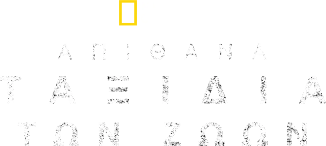 Απίθανα Ταξίδια Ζώων