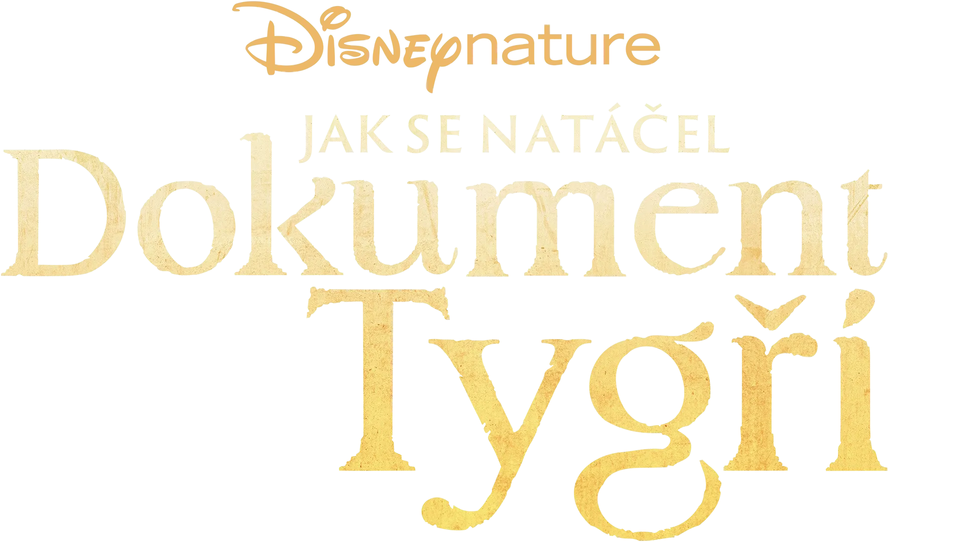 Jak se natáčel dokument Tygři
